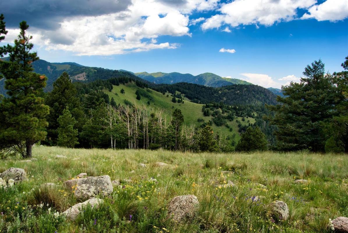 Windchaser, 1 Bedroom, Wood Burning Stove, Midtown, Sleeps 3 Ruidoso Exterior foto